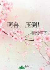 精岳飞忠全集 作者：彩神8官网