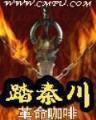 斗破苍穹 阅读 作者：大世界网投