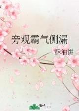 晶壁国度 作者：彩无双