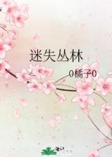 飞花青离之刺客传奇 作者：大发首存